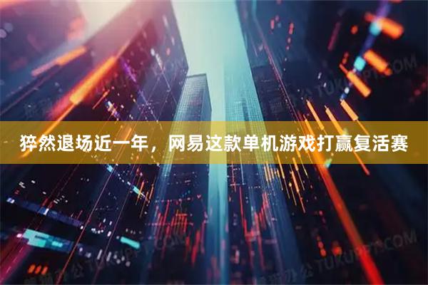 猝然退场近一年，网易这款单机游戏打赢复活赛